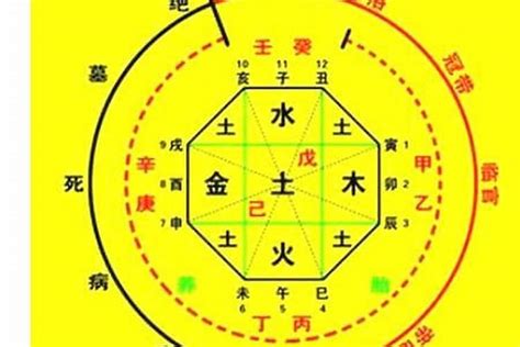 八字怎麼查|生辰八字算命、五行喜用神查詢（免費測算）